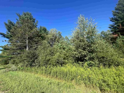 210 Kapplinger, Farwell, MI 48622 photo 13