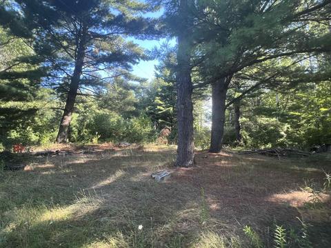 210 Kapplinger, Farwell, MI 48622 photo 7