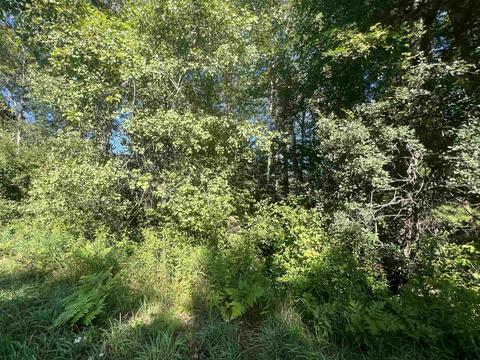 210 Kapplinger, Farwell, MI 48622 photo 19