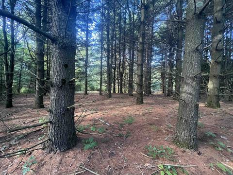 210 Kapplinger, Farwell, MI 48622 photo 27