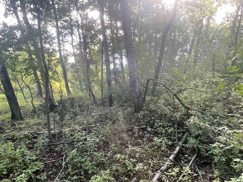 210 Kapplinger, Farwell, MI 48622 photo 33