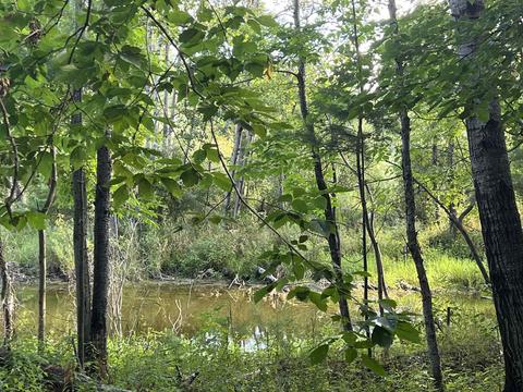 210 Kapplinger, Farwell, MI 48622 photo 29