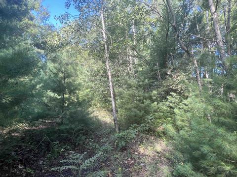 210 Kapplinger, Farwell, MI 48622 photo 30