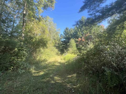 210 Kapplinger, Farwell, MI 48622 photo 10