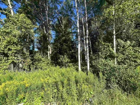 210 Kapplinger, Farwell, MI 48622 photo 18
