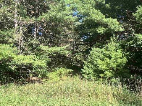210 Kapplinger, Farwell, MI 48622 photo 24