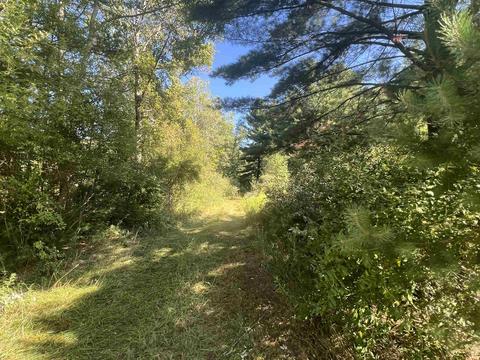 210 Kapplinger, Farwell, MI 48622 photo 1