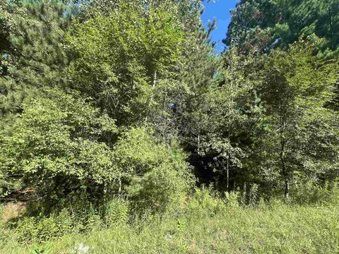 210 Kapplinger, Farwell, MI 48622 photo 23