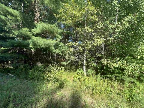 210 Kapplinger, Farwell, MI 48622 photo 21