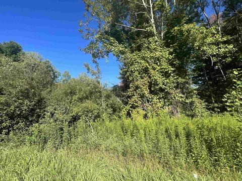 210 Kapplinger, Farwell, MI 48622 photo 17