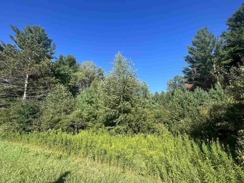 210 Kapplinger, Farwell, MI 48622 photo 14