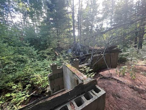 210 Kapplinger, Farwell, MI 48622 photo 42
