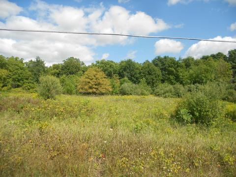 V/l N River, Freeland, MI 48623