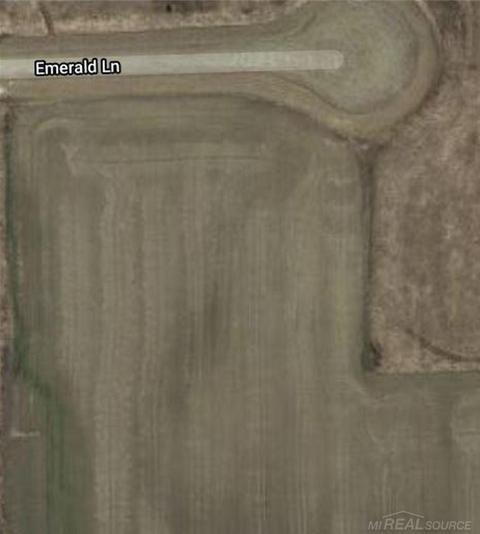 Lot 9 Emerald, Almont, MI 48003