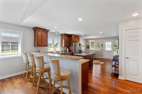 808 Bonner Dr, Tecumseh, MI 49286 photo 19