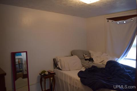 119 S Second St, Ishpeming, MI 49849 photo 14