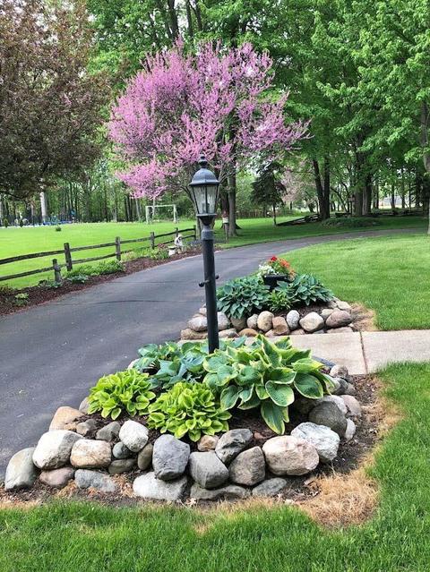 805 E Broad St, Chesaning, MI 48616 photo 50