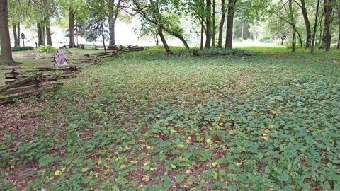 805 E Broad St, Chesaning, MI 48616 photo 55