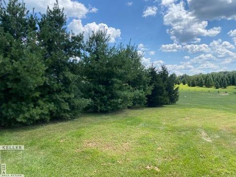 11192 E Stanley Rd, Davison, MI 48423 photo 7