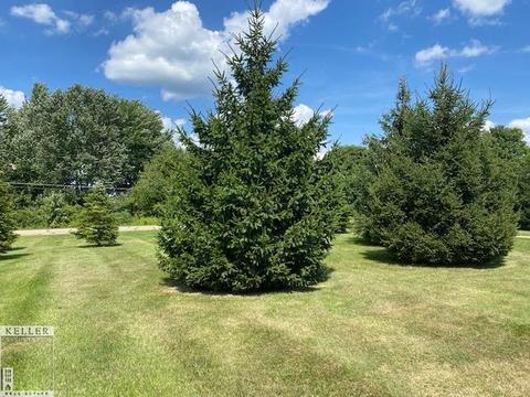 11192 E Stanley Rd, Davison, MI 48423 photo 4