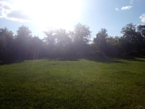 1020 S Main, Crystal, MI 48818 photo 8