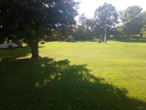 1020 S Main, Crystal, MI 48818 photo 7
