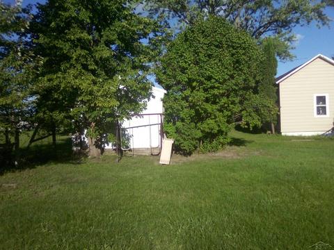 1020 S Main, Crystal, MI 48818 photo 5