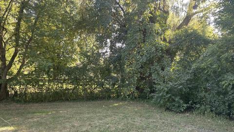 3402 S Irish Rd, Davison, MI 48423 photo 25