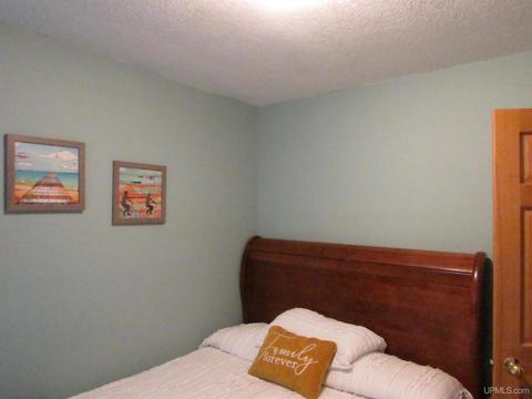1110 E Munising Ave, Munising, MI 49862 photo 21