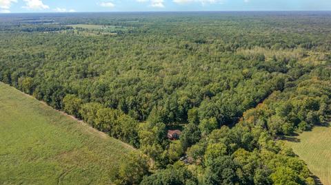 17875 Ithaca Rd, Brant, MI 48614 photo 27