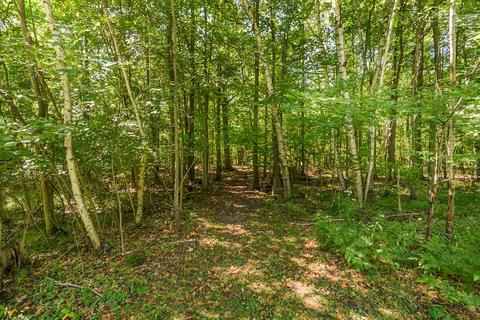 17875 Ithaca Rd, Brant, MI 48614 photo 25
