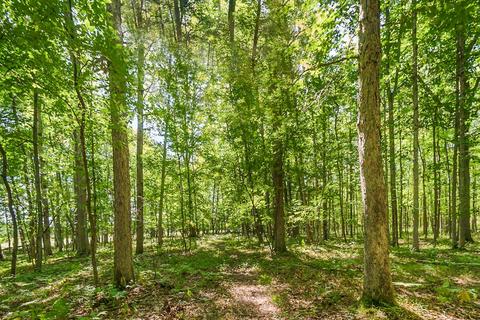 17875 Ithaca Rd, Brant, MI 48614 photo 24