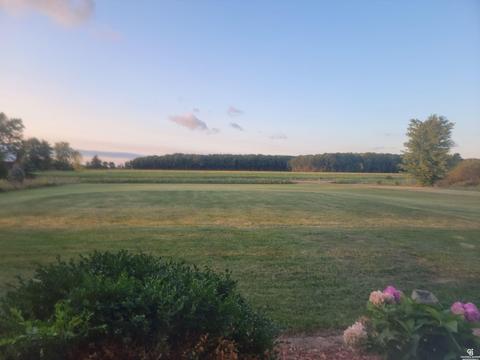 1710 E Cronk Rd, Owosso, MI 48867 photo 24