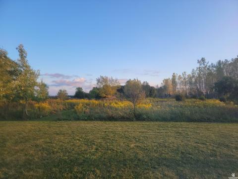 1710 E Cronk Rd, Owosso, MI 48867 photo 25