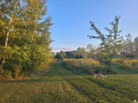 1710 E Cronk Rd, Owosso, MI 48867 photo 26