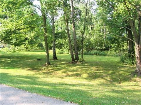 Lot 15 Wild River, Croswell, MI 48422