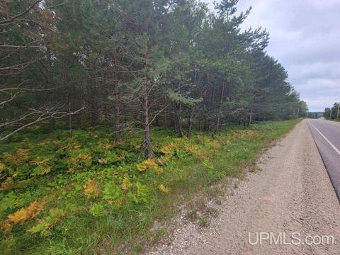 Tbd Connors Rd Parcel D, Munising, MI 49862