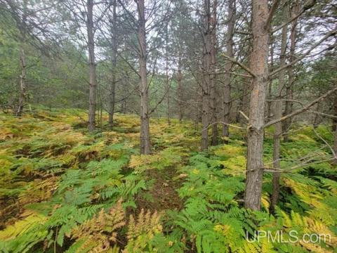 Tbd Connors Rd Parcel D, Munising, MI 49862 photo 2