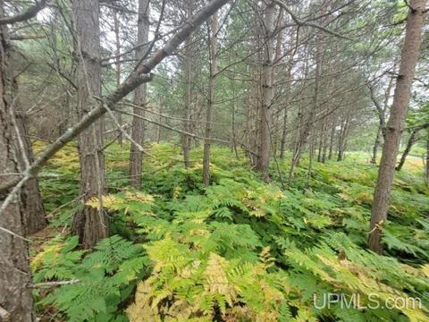 Tbd Connors Rd Parcel D, Munising, MI 49862 photo 3