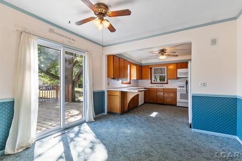 707 S Adrian, Tecumseh, MI 49286 photo 12