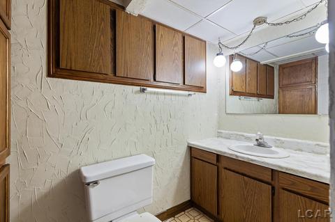 707 S Adrian, Tecumseh, MI 49286 photo 24