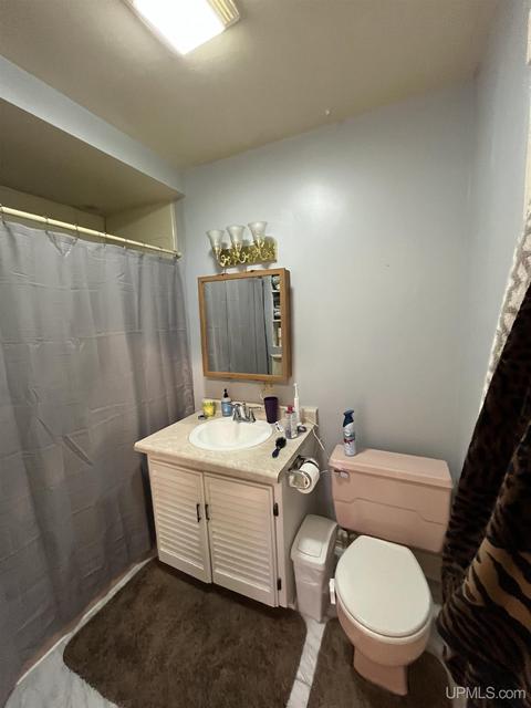 303 N Maple, Ishpeming, MI 49849 photo 19
