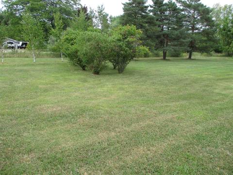459 E Mcneil St, Corunna, MI 48817 photo 27