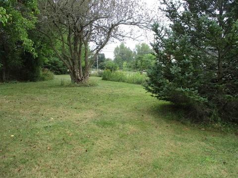 459 E Mcneil St, Corunna, MI 48817 photo 32