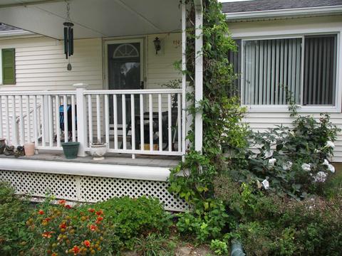 459 E Mcneil St, Corunna, MI 48817 photo 22