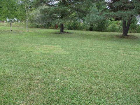 459 E Mcneil St, Corunna, MI 48817 photo 30