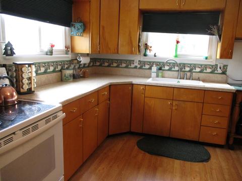 459 E Mcneil St, Corunna, MI 48817 photo 2