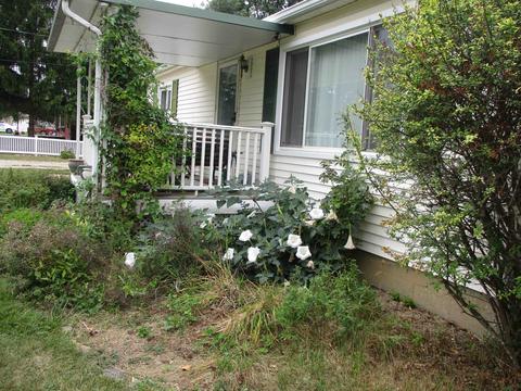 459 E Mcneil St, Corunna, MI 48817 photo 35