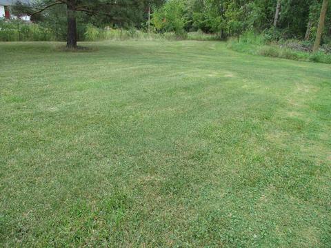 459 E Mcneil St, Corunna, MI 48817 photo 31