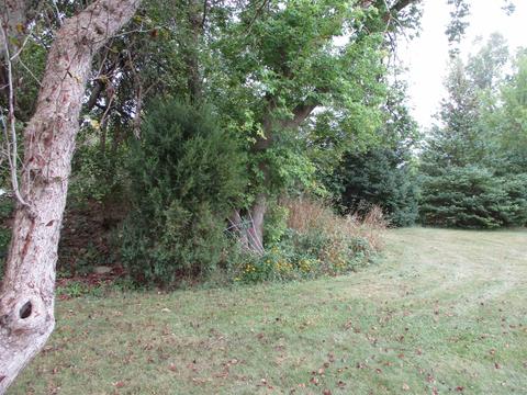 459 E Mcneil St, Corunna, MI 48817 photo 34